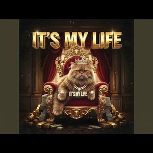 It's My Life (Radio Raymix)