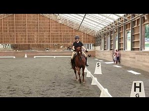 Level 1 Test 1 dressage test second try
