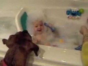 Laughing Baby and Bubble Eating Dog