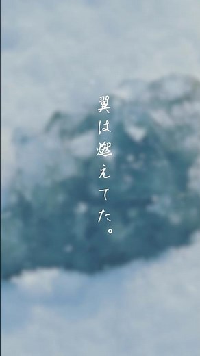 光を合成する君の背中 | 文藝天国「雲海」 #文藝天国 #プールサイドコア#AlternativeRock