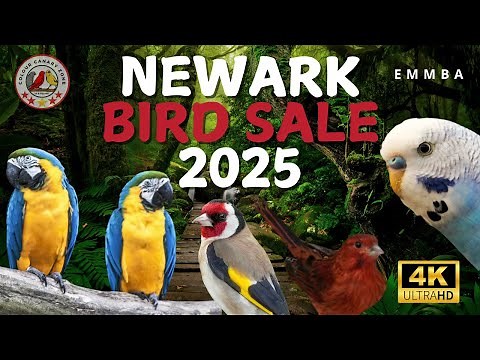 Newark Bird Sale 2025 | Stunning Parrots, Finches, Canaries & More!