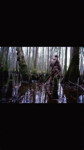 Just feels like home #DuckHunting#WoodDuckHunting#LateSeasonDuck#WaterfowlHunting#DuckLimit