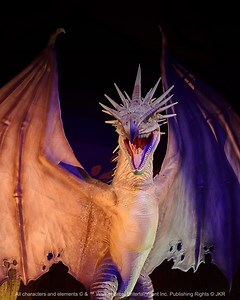 1.6K views · 62 reactions | From Hogwarts Houses to Quidditch brooms, see what makes Harry Potter™: The Exhibition an experience you don't want to miss. ✨ | Harry Potter: The Exhibition | Facebook