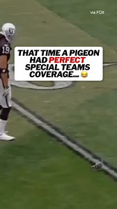 He was right on cue 🐦 | Las Vegas Raiders on CBS Sports