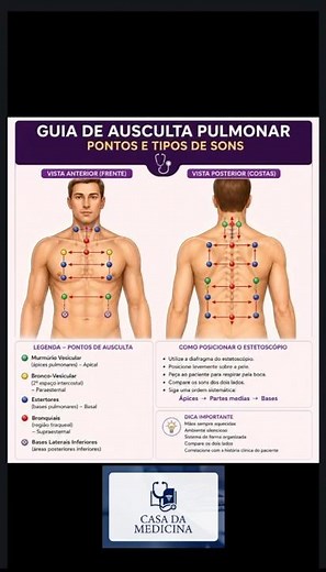 Guia Completo de Ausculta: Pontos e Tipos de Sons (Pulmonar e Cardíaca) 🩺