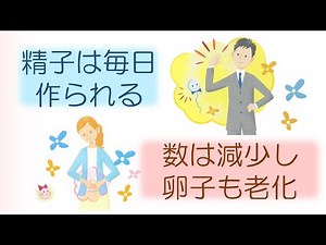 女性と男性の生殖機能の違い