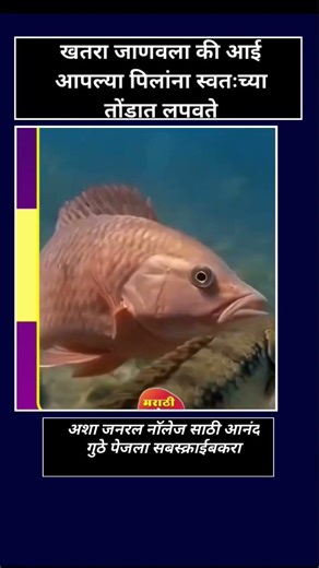 #generalknowledge #fact #technology #science #machine #marathiculture#maharashtra#marathisciencewala