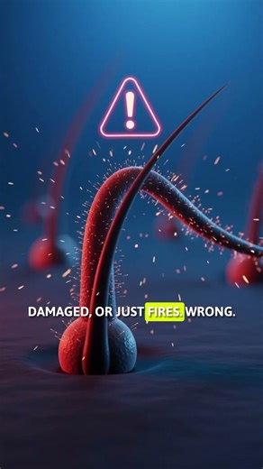 Why Your Ears Randomly Ring