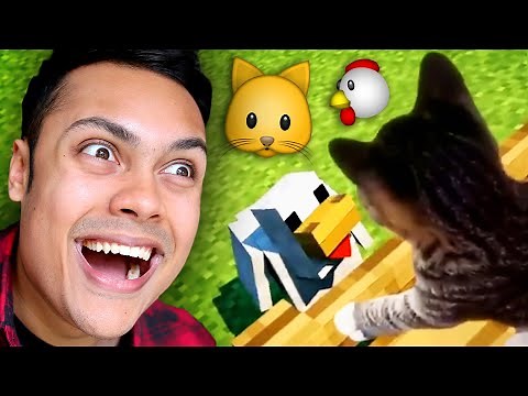 MEMES THAT GET CUTER (Reacting To Memes)