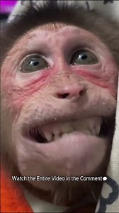 Cubis & Luk Help Dad Cook Because They’re SO Hungry!