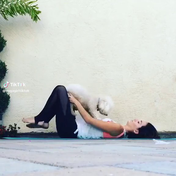 Dog Yoga Puppy Yoga Workout #dogyoga #puppyyoga #yoga #yogapants #yogagirl #yogaworkout #fitness #gym #bikiniyoga #yogaflow #yogapose #yogachallenge