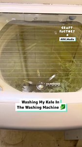 118K views · 55 reactions | I wash my kale in the washing machine 塞ARK. Media | Craft Factory | Facebook