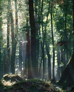 1.5K reactions · 152 shares | "If the land is well, the sea is well, the people will thrive"  #AirNZSafetyVideo 05.05.2022 | Air New Zealand | Facebook