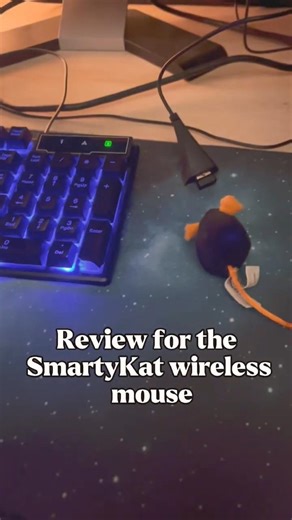 SmartyKat #wirelessmouse review #joke