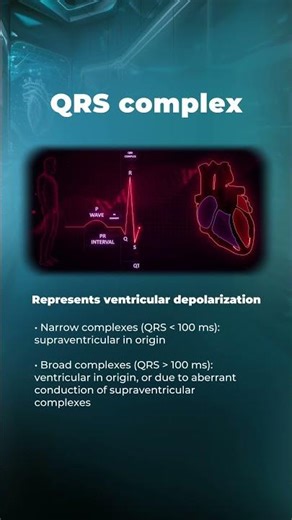 ECG 101: What Every Wave And Segment Means