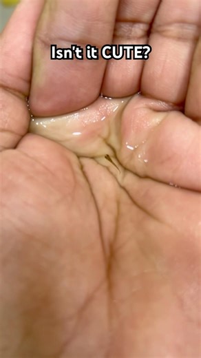 ❤️#arowana #aquarium #fishkeeping #aquascape #viral #fishshorts #trending #shorts #breeding #fyp #yt