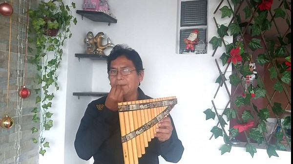 Bamboo Pan Flute 22 Pipes Natural Bamboo Nazca Lines Design From Peru - Case Included -