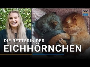 Hörnchenfee: Sie pflegt Eichhörnchen wieder gesund