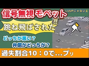 🔸【過失割合10:0 ？】ここで解説🔸モペットが赤信号無視→プリウスと衝突【罰則・保険・解説】ゆっくり実況 危険運転 ドラレコ 安全運転 煽り運転 ゆっくり解説 #モペット #luup