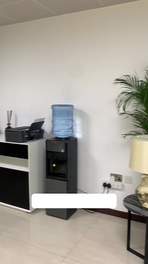 16 reactions | Bring Home a Touch of the Tropics!  Fresh Palm Tree –...