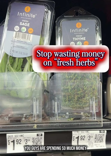 How to Grow Culinary Herbs from Seed (Winter Sowing Guide)