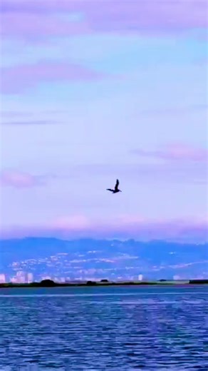 ✈️ Biman✈️👨‍✈️👨‍✈️✈️ Ban✈️ (@abir.hasnaht.santo)’s videos with original sound - ✈️ Biman✈️👨‍✈️👨‍✈️✈️ Ban✈️