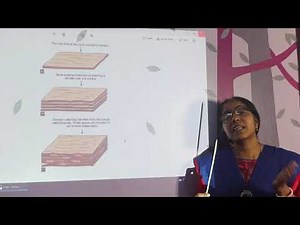 Lecture On Ossification