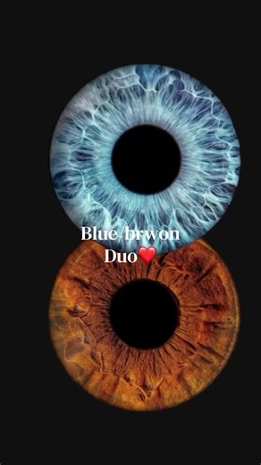 Captivating Blue and Brown Eyes: A Stunning Duo