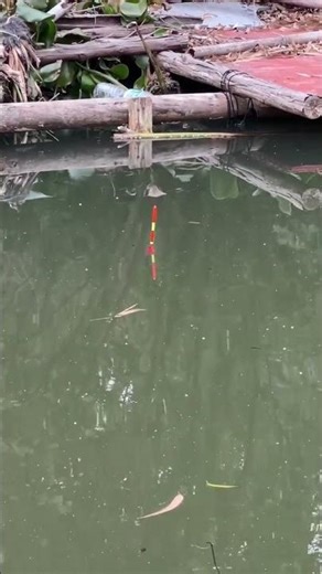 “Village Pond Fishing Life Relaxing Countryside Vlog Experience”