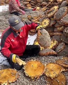 Working gadgets that make your working life a little easier! | Things Easier