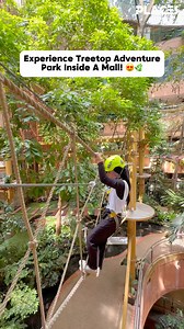 142 reactions · 32 shares | Experience Treetop Adventure Park inside...