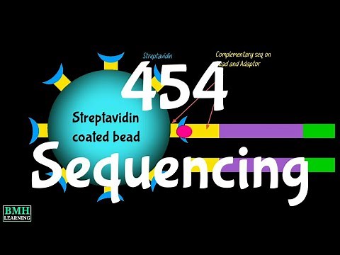454 Sequencing | Pyrosequencing | Roche Sequencing | Roche 454 |