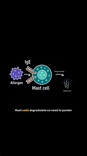 Lets recall the pathology of Asthma! Enjoy the song! Full song is available at Youtube channel https://www.youtube.com/@Med_tunes | MedTunes