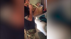 Deadly snake found hiding in family’s Christmas tree