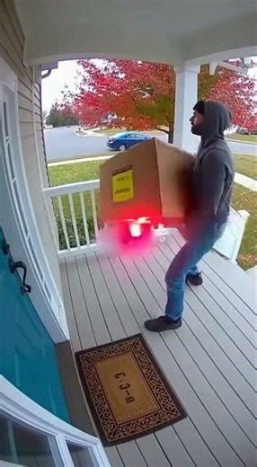 "Parcel Stolen, Then It Explodes! | Shocking Moment" #funny #securitycamera