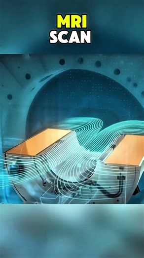 Megnetic Resonance Imaging(MRI) Scan|3D ANIMATIONS| #MRI #MRIScan #MagneticResonanceImaging #fyp