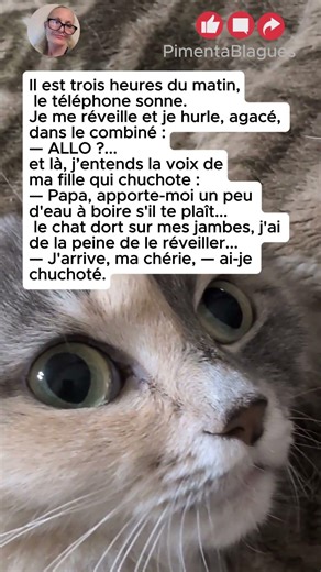 Je me réveille et je hurle, agacé, dans le combiné :— ALLO ?.. #chat #chatte #amourdechat #blagues