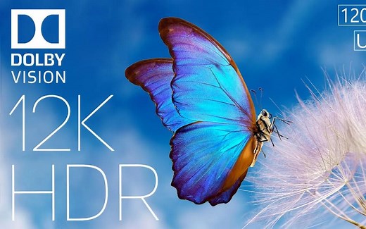 4K画质测试 极致HDR色彩体验 视觉体验 测试你的屏幕 8K原素材