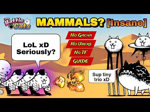 How to Beat Crazed Lizard | 5 slots; No Gacha (Battle Cats)