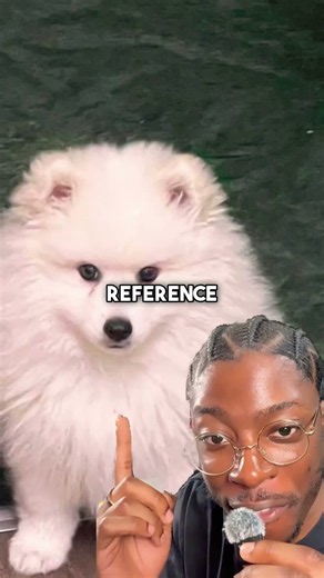 Turning MY DOG into a custom 3D print! #Hi3D #ad