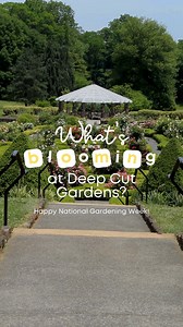 What’s Blooming in Deep Cut Gardens? 🌹🌼🌻 It’s National Gardening Week in the Garden State! A rainbow of roses and other flowers are blooming, making it the perfect time to explore the park! Many of our staff members agree that Deep Cut Gardens looks like a page out of a storybook fantasy during peak bloom season. Come experience the magic for yourself ✨ | Monmouth County Park System