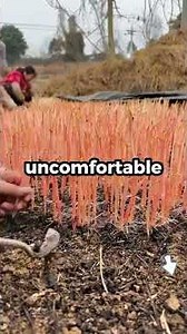 My mom called me sobbing at 6 AM. "How could you post that about your father?"