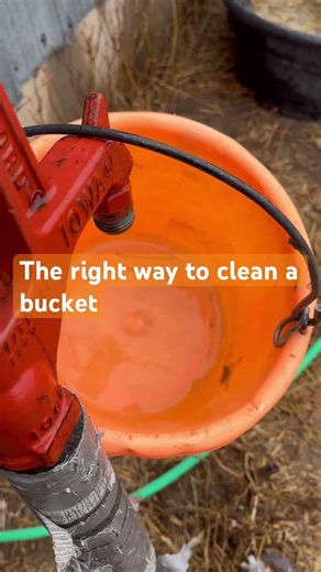 The way to clean a bucket