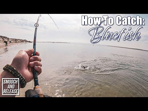 How To Catch Bluefish - PART 1 - Long Island Surf Fishing Summer - Get Reel Bass Fishing