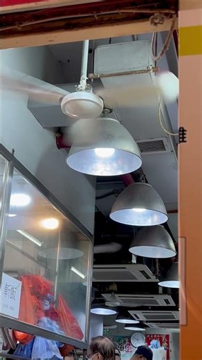 SMC K36 industrial/commercial ceiling fans (what's up with the canopies)...
