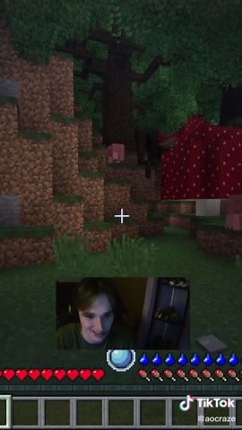 I came back to Minecraft and saw THIS... #minecraft #gamingtiktok #AOCraze