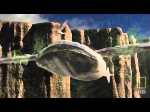 National Geographic - Extraterrestrial Blue Moon (Part2)