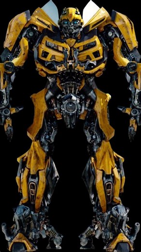 Bumblebee he still care about Arcee