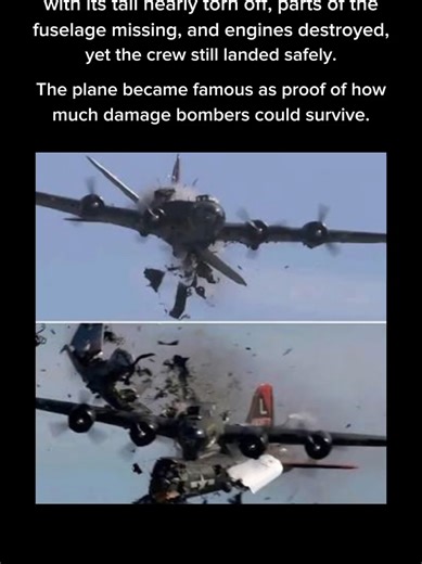 Bombers That Endured: B-17s in WWII History