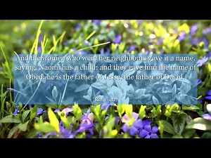 Ruth 4:17 And the women who were her neighbours gave it a name, saying, Naomi has a child; and they